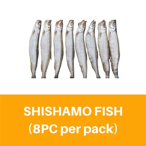 Shishamo Fish (8 PC per pack) Ikan Mengandung — HORECA Suppliers | Supplybunny