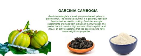 Garcinia Cambogia, Weight loss supplement | Herbal Creations