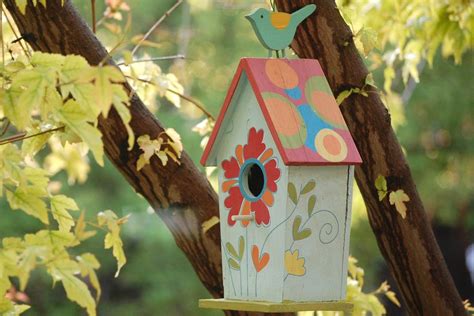 The Best Times to Put Up Birdhouses