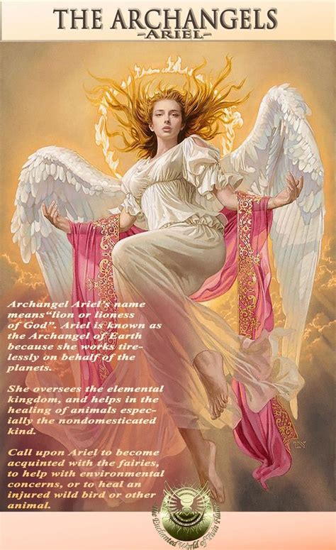 an angel with white wings and gold halos on her head is surrounded by pink fabric