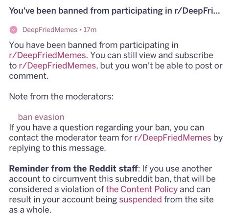 Posted a meme but then got banned for “ban evasion” oof ...