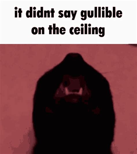 It Says Gullible On The Ceiling It Didnt Say Gullible On The Ceiling GIF - It Says Gullible On ...