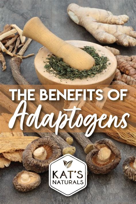 The Benefits of Adaptogens On Your Health & Wellbeing | Herbal medicine ...