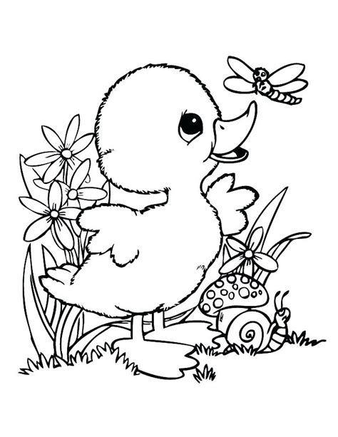 Rubber Duck Coloring Pages at GetColorings.com | Free printable ...