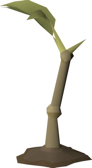 Struggling sapling - OSRS Wiki