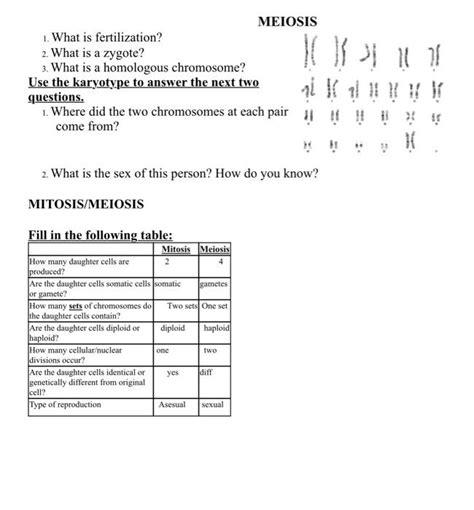 Solved 1. What is fertilization? 2. What is a zygote? 3. | Chegg.com