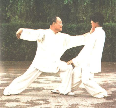 37 Best Yang Family Tai Chi images | Martial Arts, Chinese martial arts ...