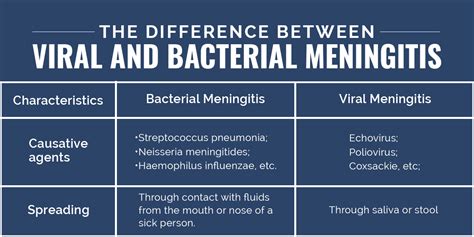 The Difference Between Viral And Bacterial Meningitis