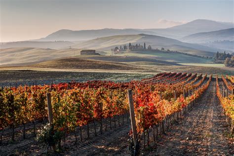 Colors of Tuscany with Workshop Partner Eric Rock | Olympus