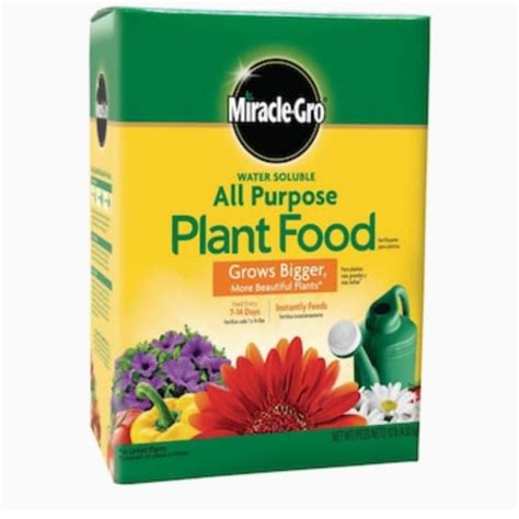 Miracle Grow – Breezewood Floral