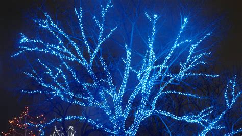 Annual Zoo Lights exhibit lights up Winnipeg's Assiniboine Park Zoo ...