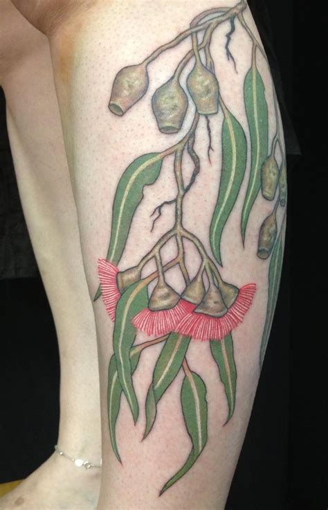 Australian Native plant botanical tattoos | Botanical tattoo, Tattoos ...