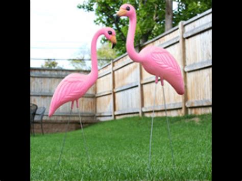 Divine Pink Flamingos Quotes. QuotesGram