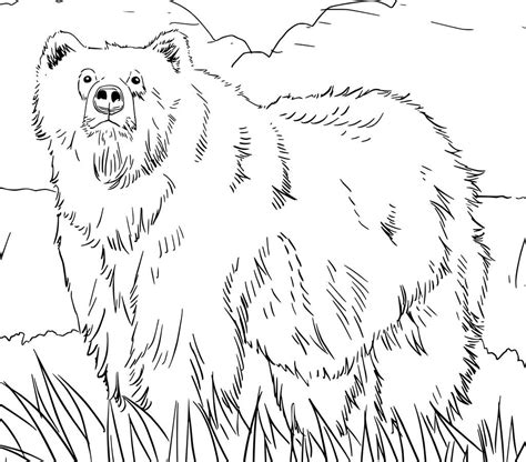 Alaskan Malamute Coloring Pages at GetColorings.com | Free printable ...