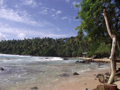 Mirissa Beach, Sri Lanka | Travel Sri Lanka