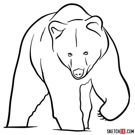 25 Easy Bear Drawing Ideas - How to Draw a Bear