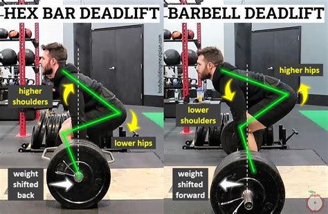 Hex Bar Deadlift Compared to Barbell | Hex bar deadlift, Barbell deadlift, Deadlift