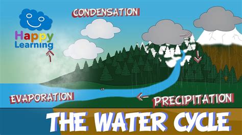 The Water Cycle | El ciclo del agua en Inglés - YouTube