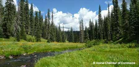 Alpine Arizona | White Mountains AZ