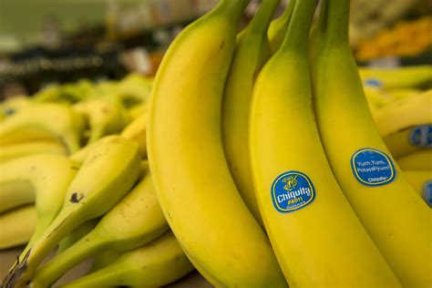 Sabias que a banana pode estar a desaparecer? - FCiências