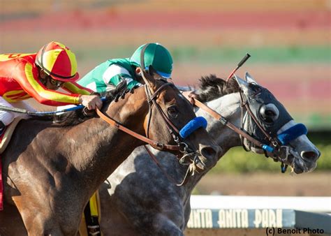 Gift Box returns in Gold Cup; Vasilika looks to remain hot in Gamely - Brisnet