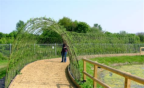 Living Fences: Willow Structures