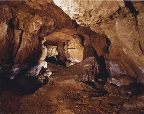 Cave of Altamira Historical Facts and Pictures | The History Hub