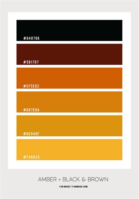 Amber and Black Color Combo – #Colour Palette 126 1 - Fab Mood ...