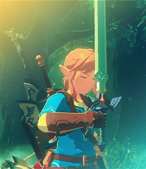 LTTP: The Legend of Zelda: Breath of the Wild Wii U (2017) | NeoGAF