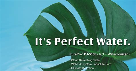 PurePro Perfect Water PJ-503P Reverse Osmosis + Water Ionizer Water Filtration System