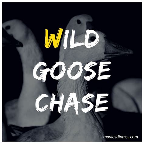 Wild Goose Chase Idiom | Old quotes, Chasing quotes, Chase movie