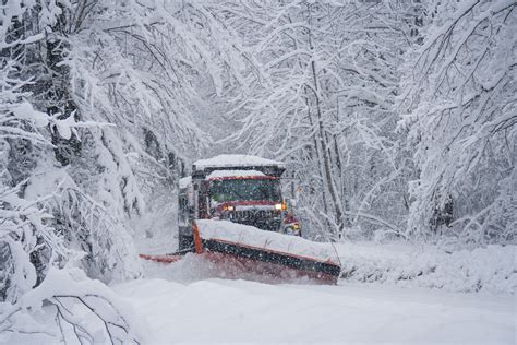 New England Snow New England Snow - Living with Gotlands