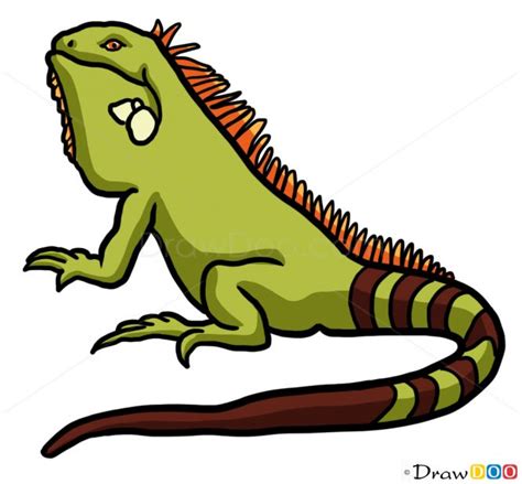 How to Draw Iguana, Wild Animals | Animals wild, Iguana, Animals