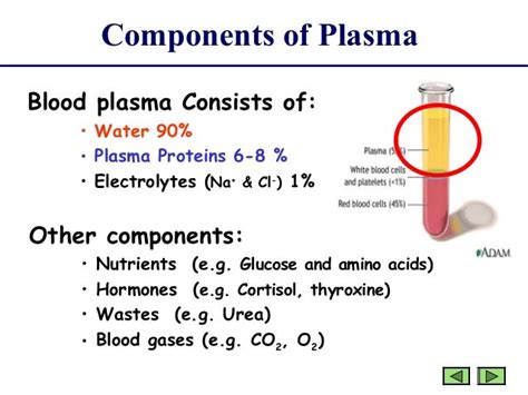 Plasma proteins