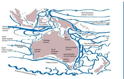 1.4. Variability in ocean currents around Australia – IMOS Ocean Report