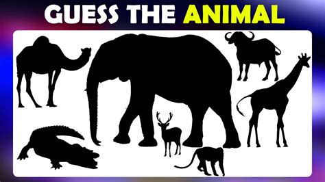 Guess The Animal By SHADOW Guessing Quiz Animals Puzle Pictue Test IQ ...