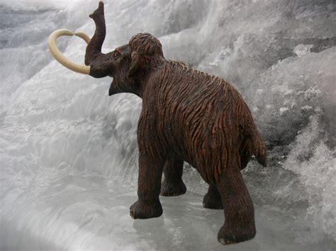 Woolly Mammoth (Prehistoric life collection by Safari Ltd) | Dinosaur Toy Blog