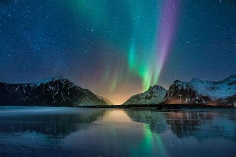 Northern Lights Tromso | Northern lights norway, Northern lights photography, Tromso northern lights