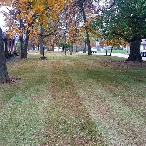 Mulching leaves | Lawn Care Forum