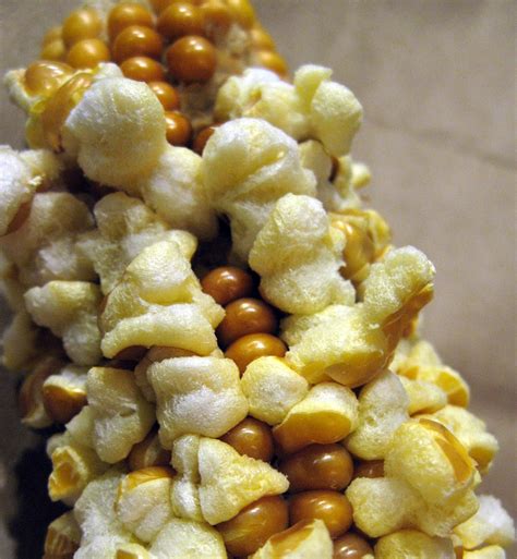 Farm share stories: Popcorn on the Cob