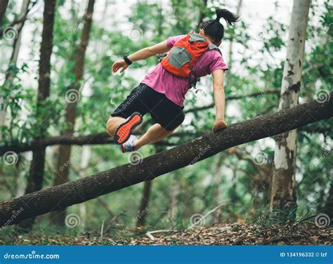 Runner Cross Country Trail Running in Forest Stock Photo - Image of exercise, jumping: 134196332