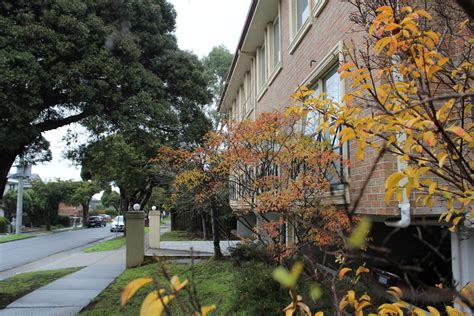 Monash Accommodation Pty Ltd - 2 Arnott St, Clayton VIC 3168, Australia