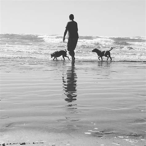 Premium Photo | Silhouette people walking on beach against sea