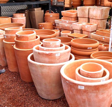 Terra Cotta Pottery Sale - Cactus Jungle