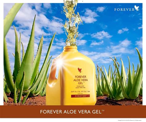 Aloe Wella: Brand FOREVER Aloe Vera vs Other Brands