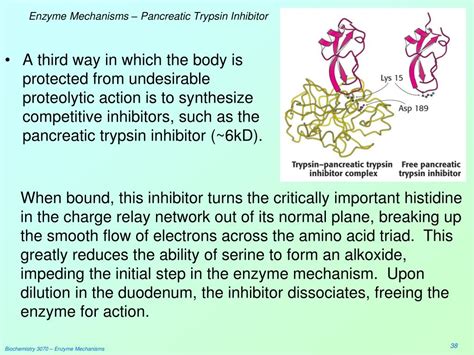 PPT - Enzyme Mechanisms PowerPoint Presentation - ID:306312