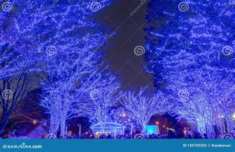 Shibuya Blue Cave Winter Illumination Festival Editorial Photography - Image of japan ...