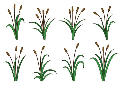 Set Of Cattails Vector 129217 Vector Art at Vecteezy