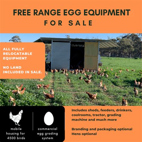 Free Range Egg Farm Equipment | Farm Tender