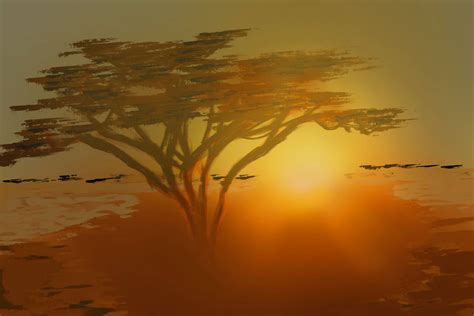 Savannah Tree in sunset by Waixxen on DeviantArt